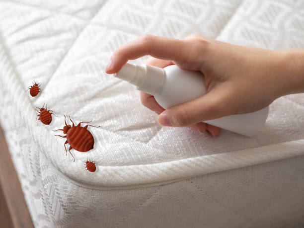 Best Best Pest Control Companies  in Roslyn Estates, NY